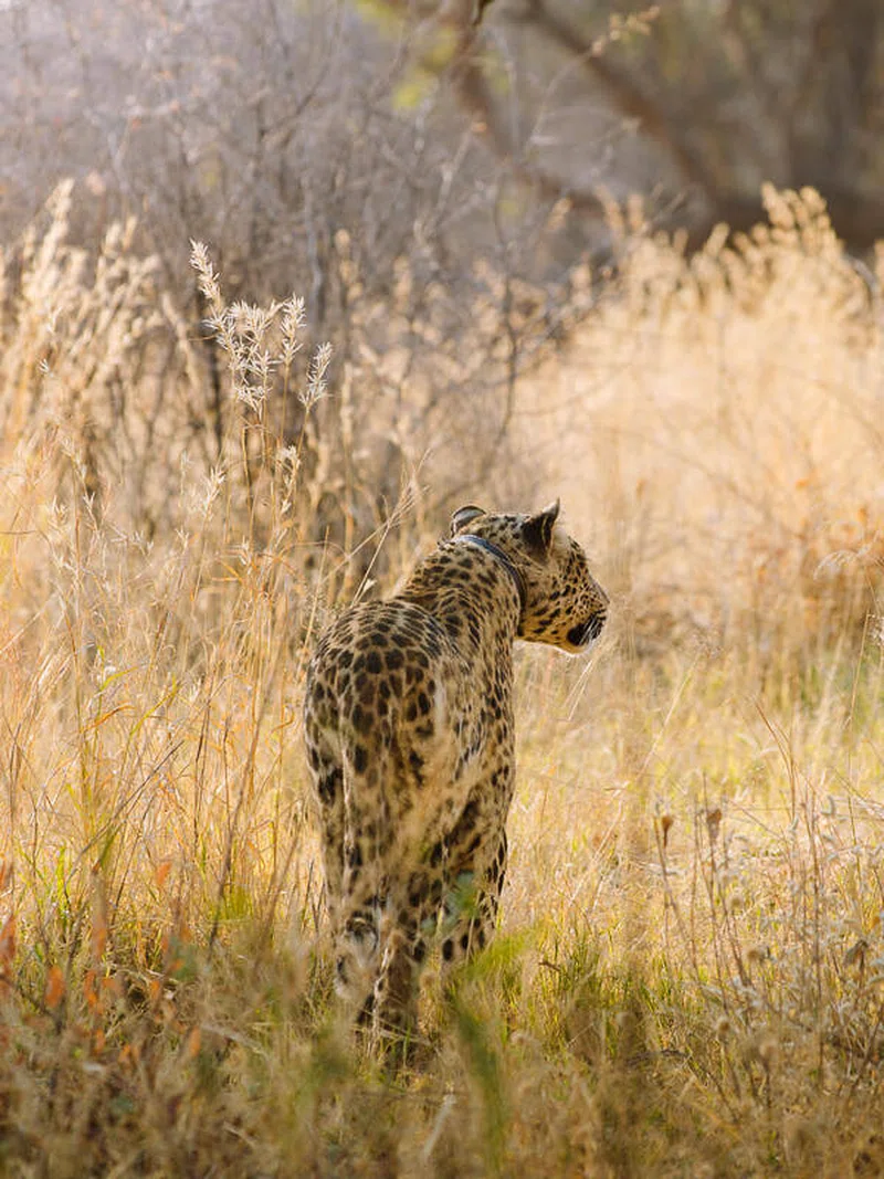 Okonjima Private Nature Reserve 3