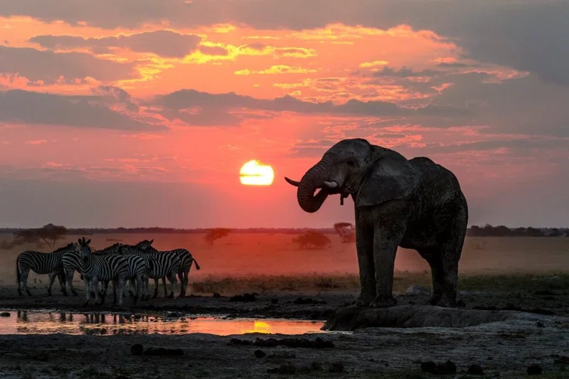 Nxai Pan National Park 5