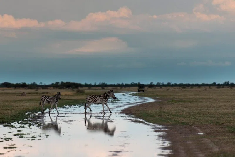 Nxai Pan National Park 2