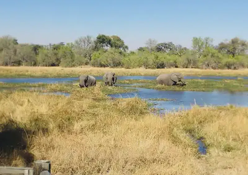 Makgadikgadi Pans National Park 5
