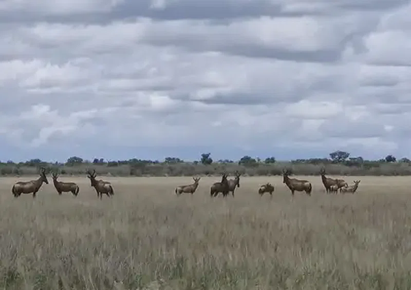 Makgadikgadi Pans National Park 4