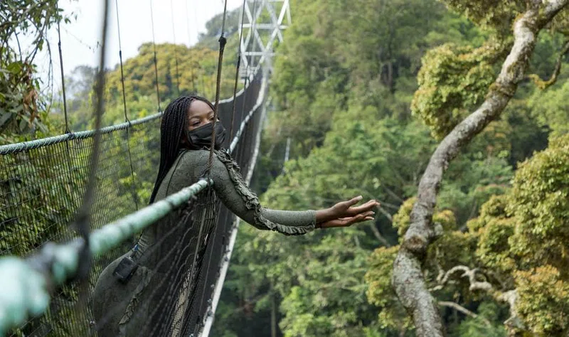 Nyungwe National Park 4