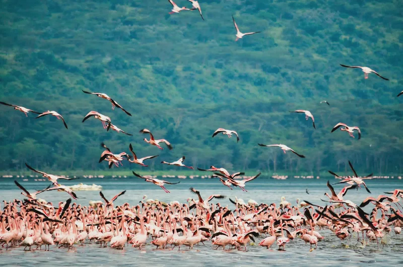 Lake Bogoria National Reserve 2
