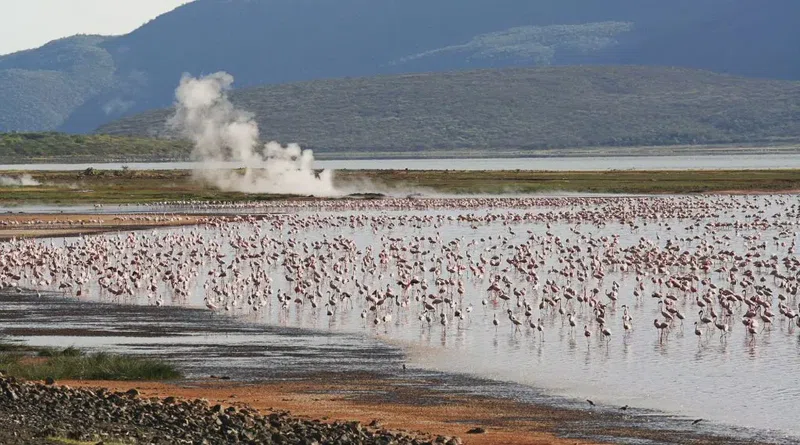 Lake Bogoria National Reserve 3