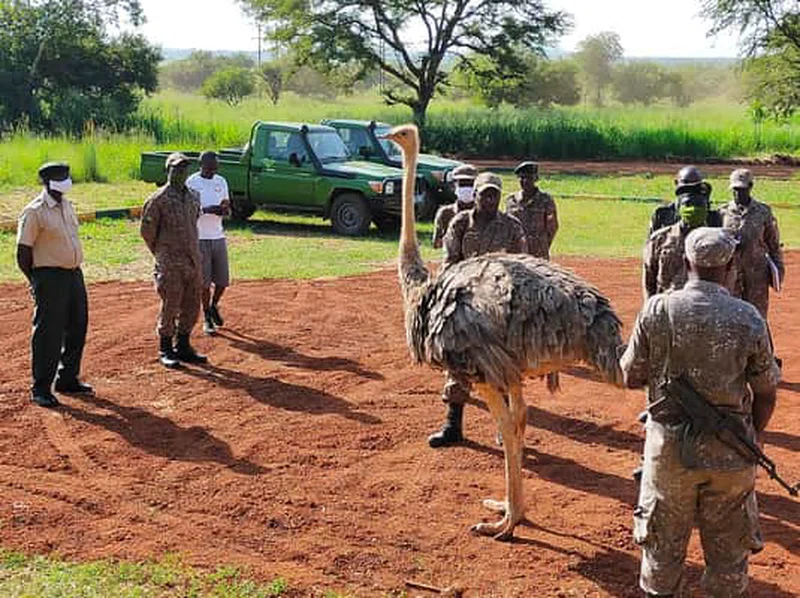 Pian Upe Wildlife Reserve 4