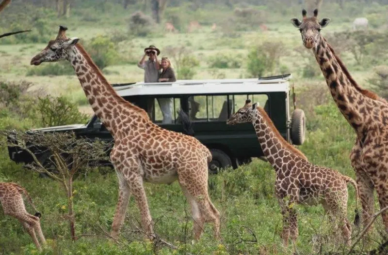 Pian Upe Wildlife Reserve 3