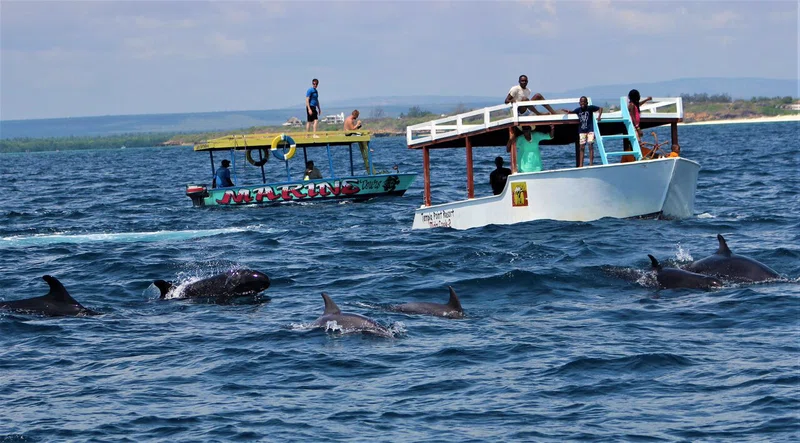 Watamu Marine National Park 5