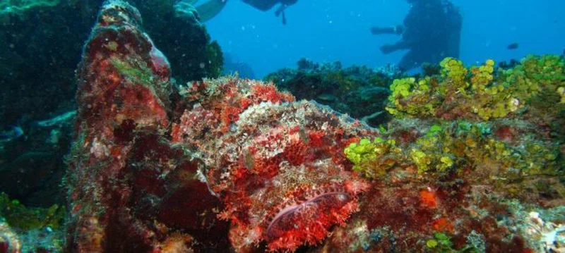 Watamu Marine National Park 4