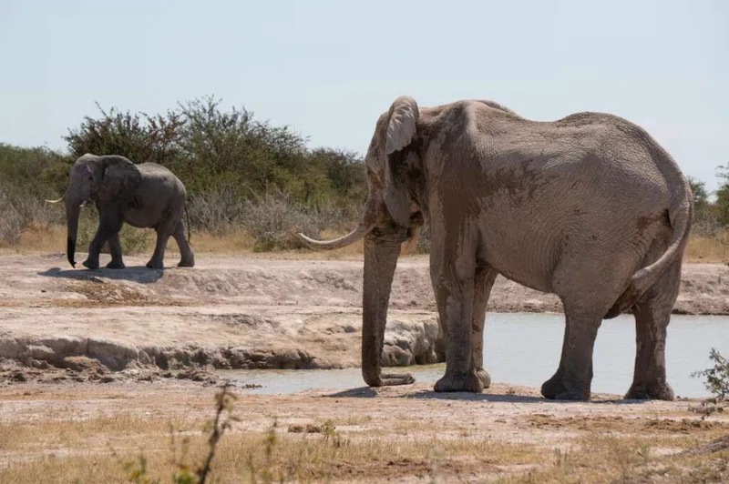 Nxai Pans National Park 2