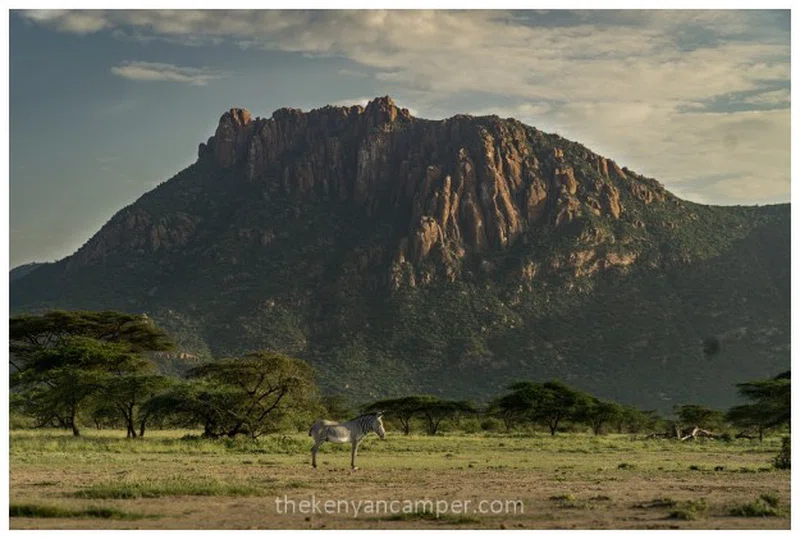 Shaba National Reserve 4