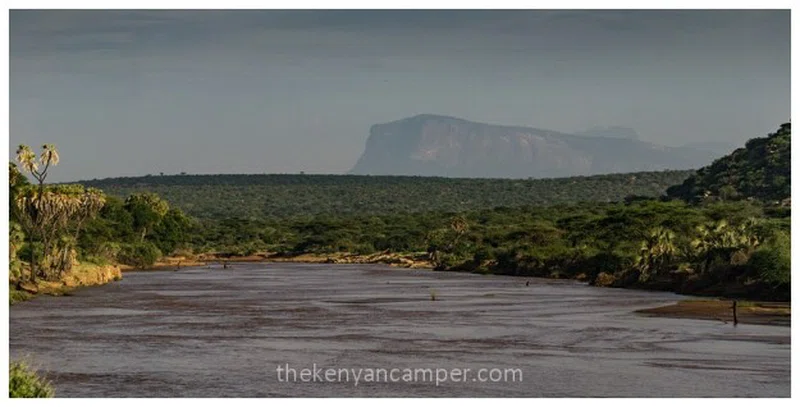 Shaba National Reserve 5
