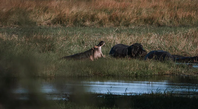 Bwabwata National Park 3