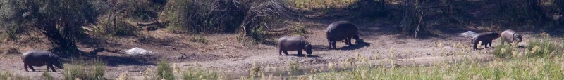 Bwabwata National Park 4