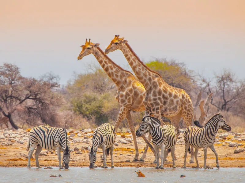 Bwabwata National Park 5