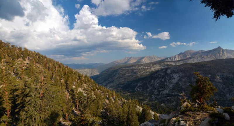 Blue Canyon Reserve 4