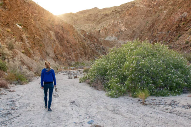 Blue Canyon Reserve 2