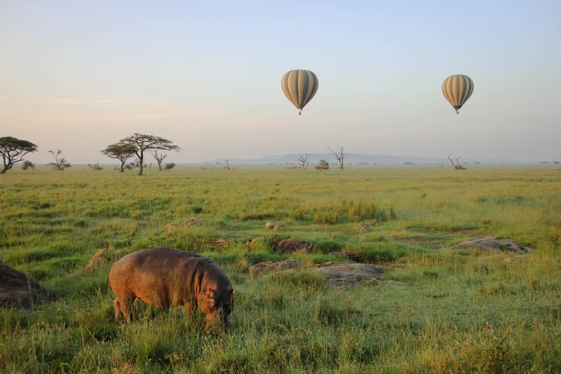 Seronera Valley, Serengeti National Park 4