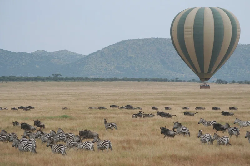 Seronera Valley, Serengeti National Park 3