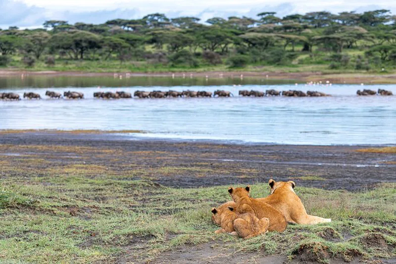 Pololeti Game Reserve 3