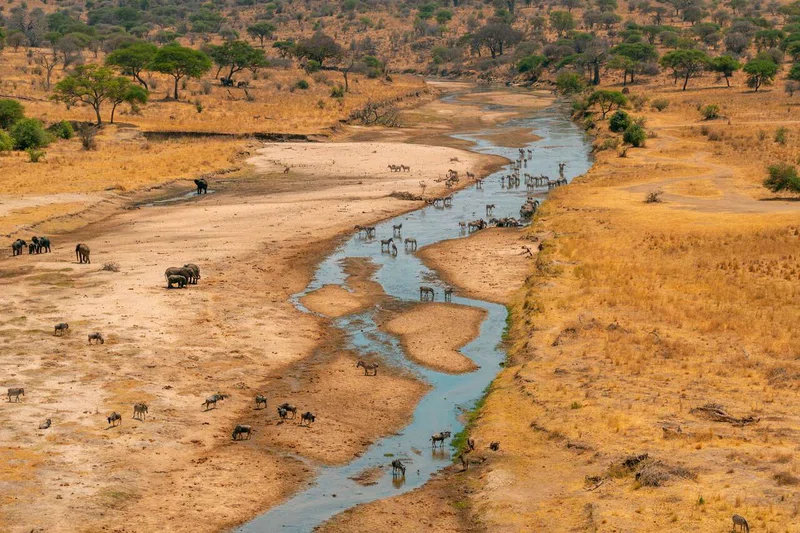 Serengeti National Park (Seronera) 3