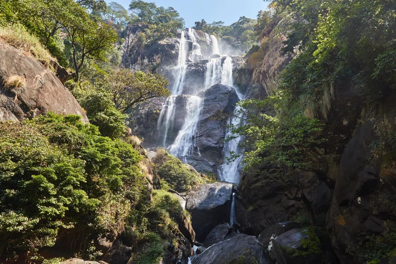 Udzungwa Mountain National Park 2