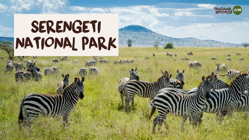 Serengeti National Park (Central Serengeti) 4