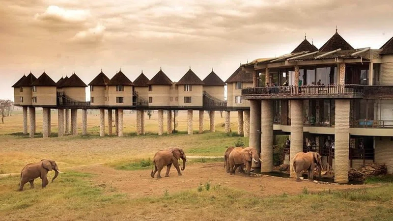 Taita Hills / Lumo Sanctuary 4