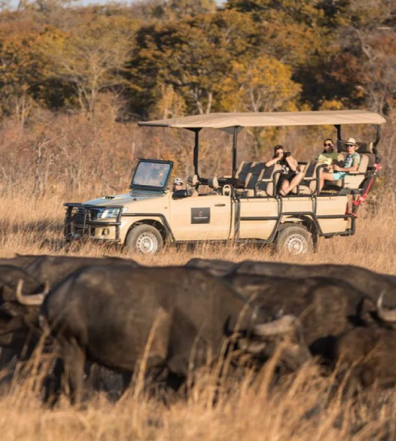 Chamabondo National Park 2