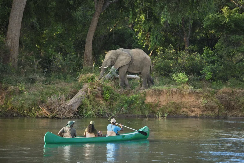 Chamabondo National Park 5