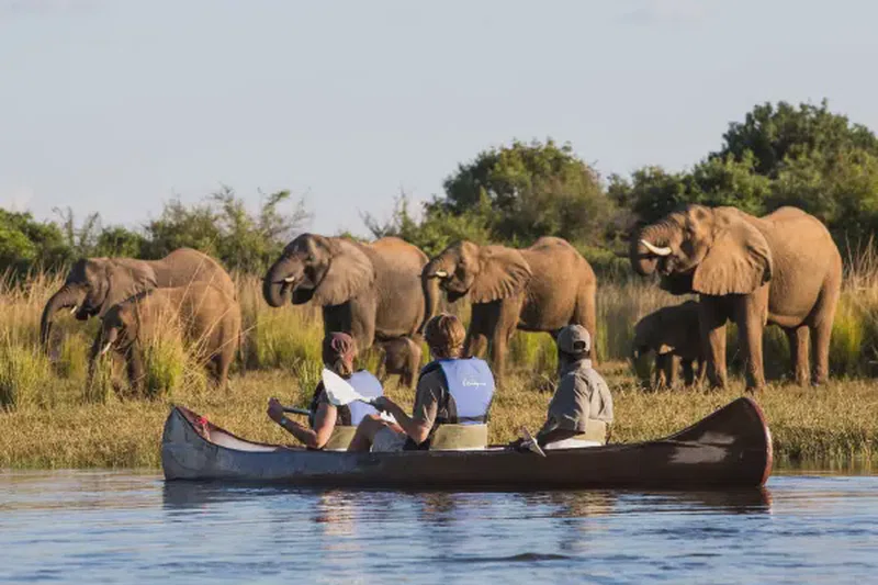 Chamabondo National Park 3