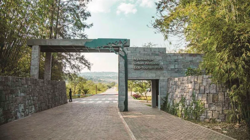 Nyandungu Eco Park 3