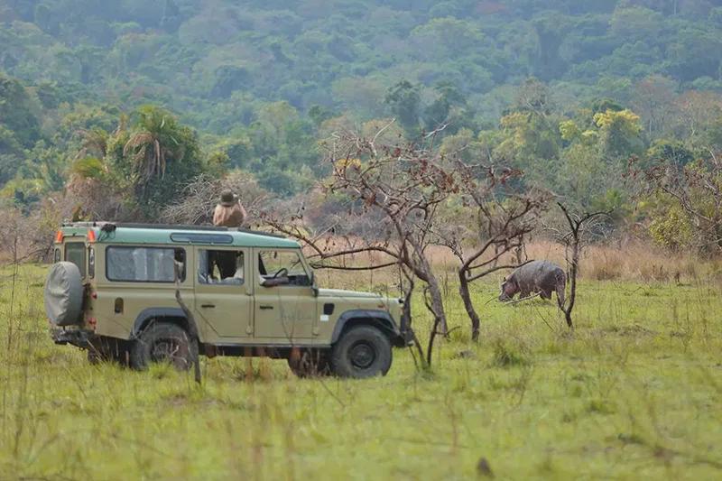Rubondo Island National Park 4