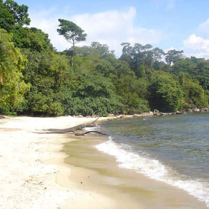 Rubondo Island National Park 3