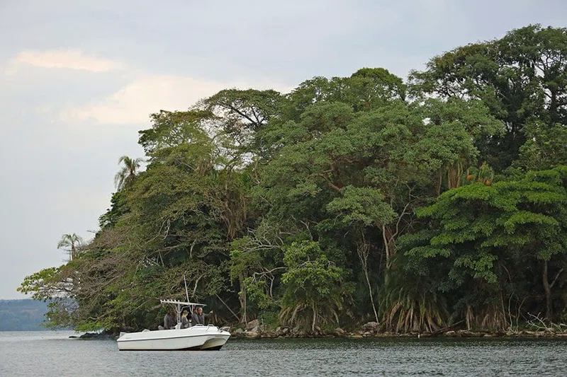 Rubondo Island National Park 2