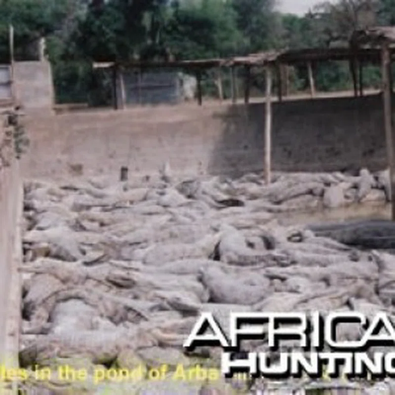 Arba Minch Crocodile Ranch 5