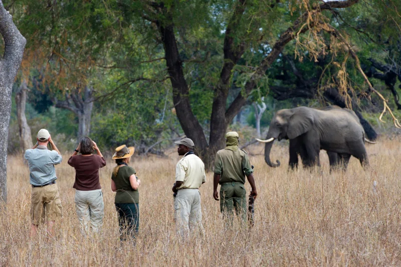 South Luangwa National Park 4