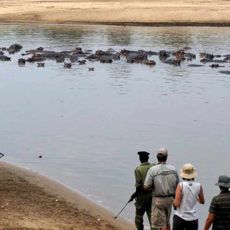North Luangwa National Park 3