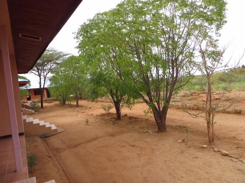 Turmi Lodge 2