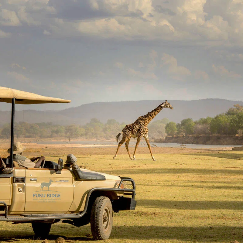 South Luangwa National Park 4