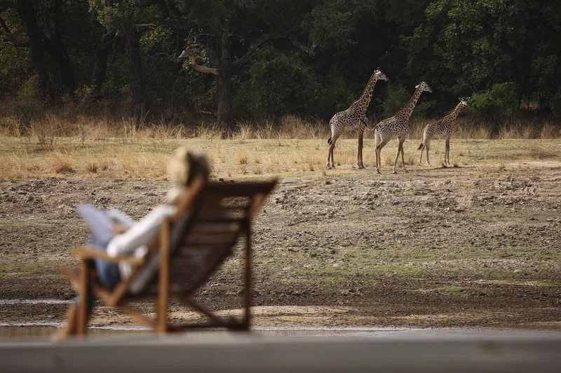 South Luangwa National Park 2