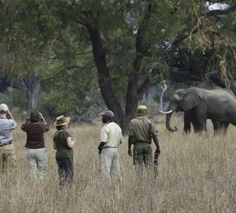 South Luangwa National Park 3
