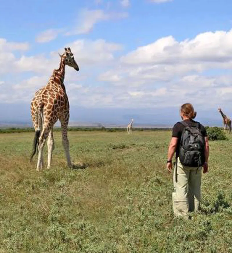 Tarangire National Park 5