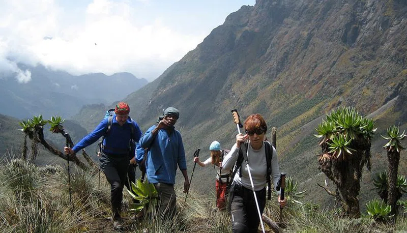 Rwenzori Mountains National Park 2