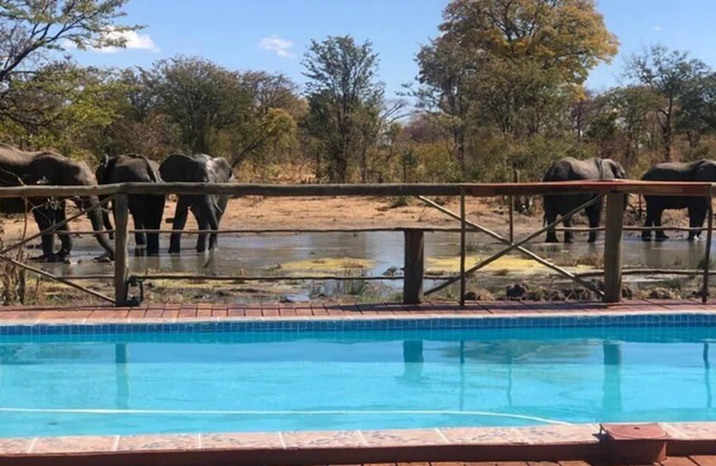 Chobe National Park, Botswana 2