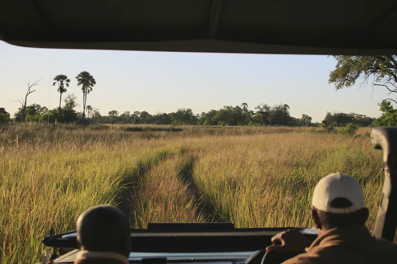 Chobe National Park, Botswana 3