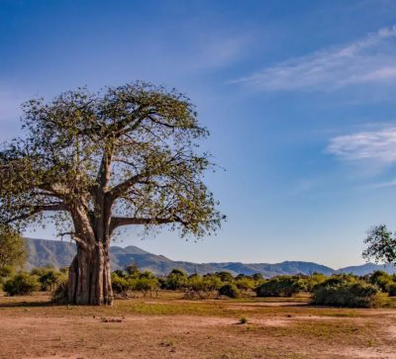 Matusadona National Park 4