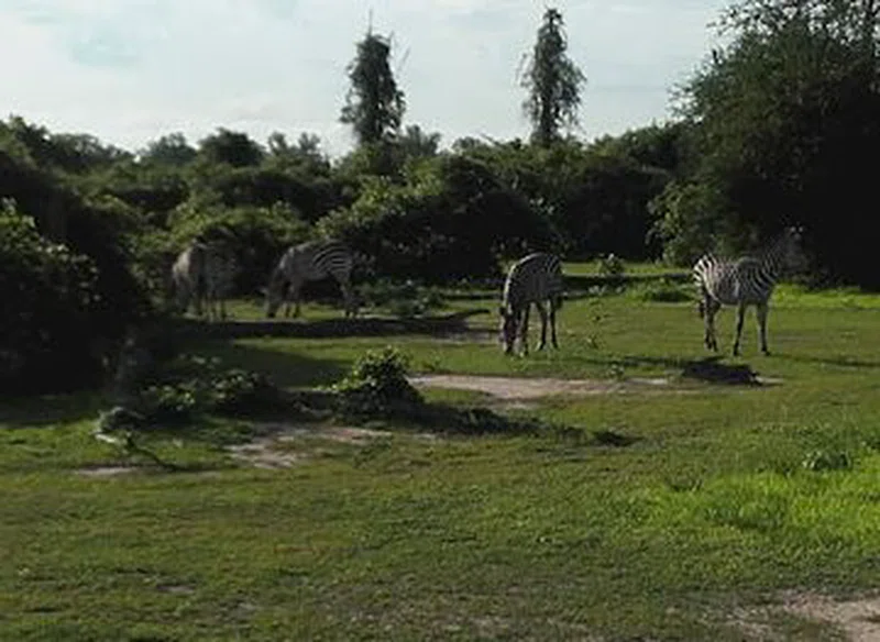 Chipata 2