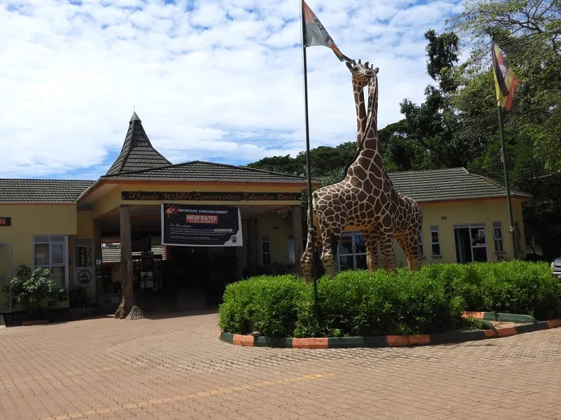 Entebbe 4