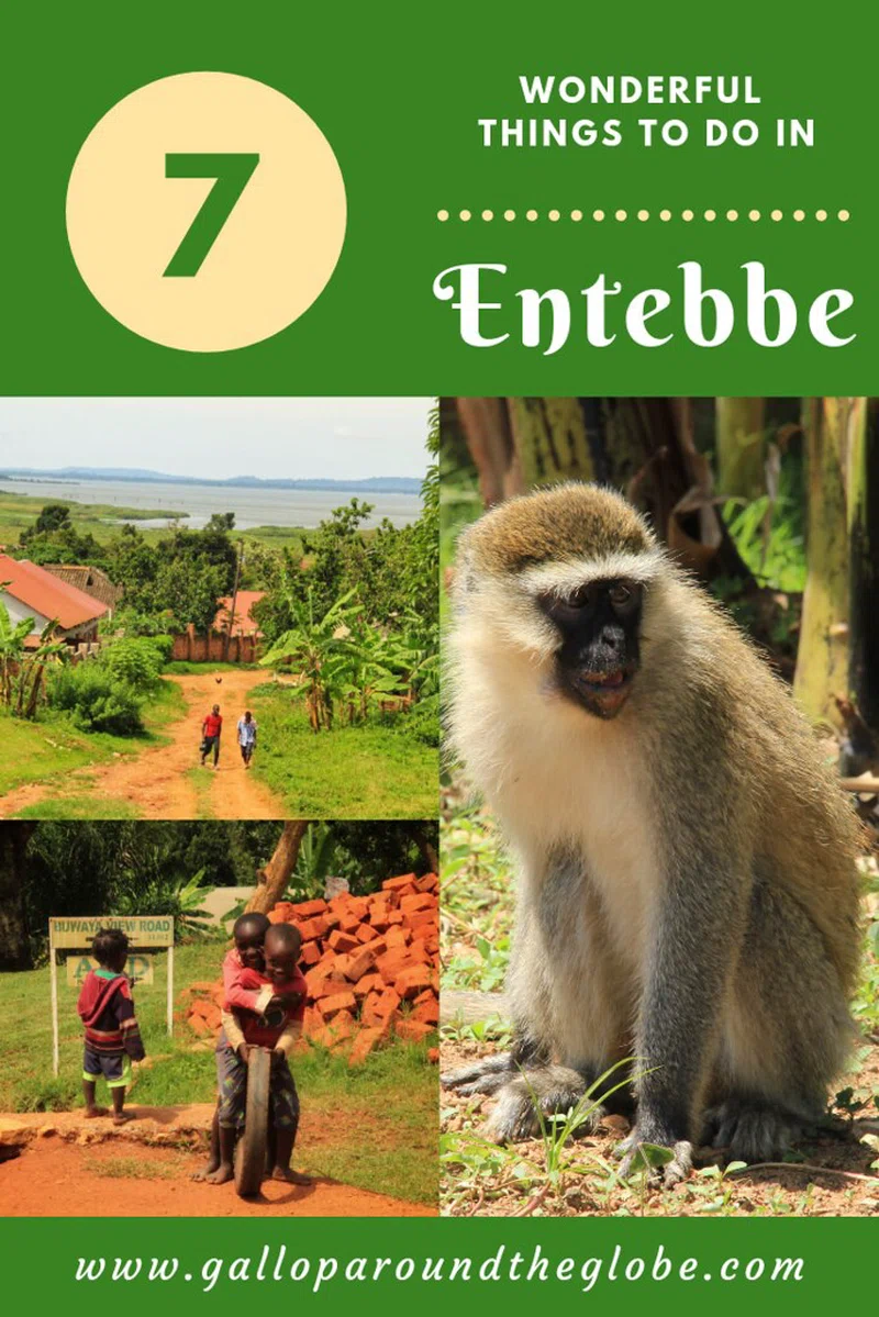 Entebbe 3