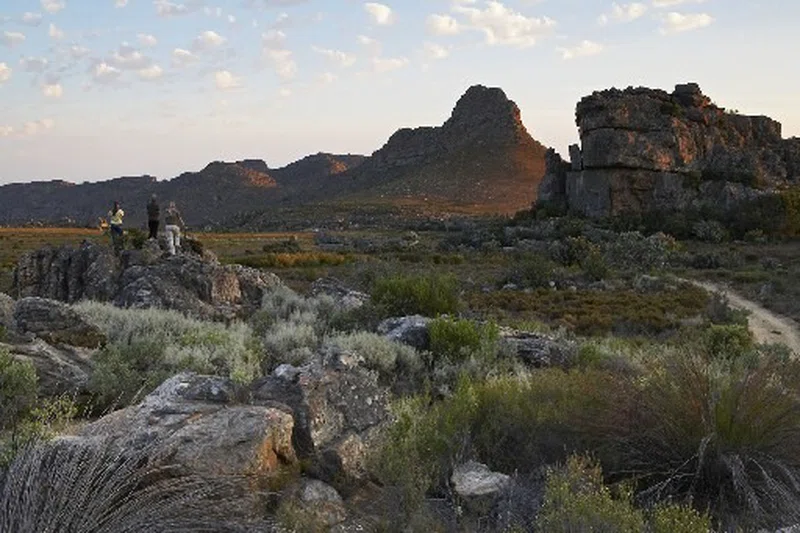 Cederberg Wilderness Area 5